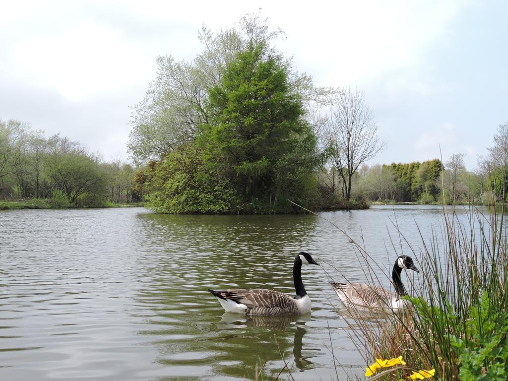 Bodmin Holiday Park Lanivet Eksteriør billede